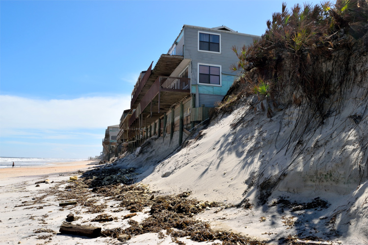 Half of world's sandy beaches face extinction