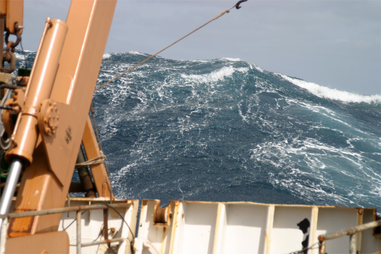 Rogue waves: unpredictable, sporadic, and potentially devastating wall of ocean water | Photo: Creative Commons
