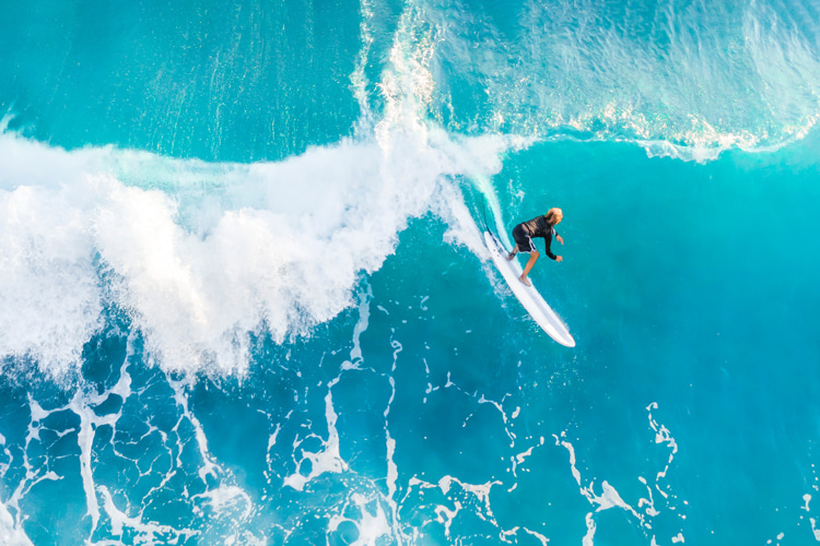 SurferToday: riding waves of joy and knowledge since 2007 | Photo: Shutterstock