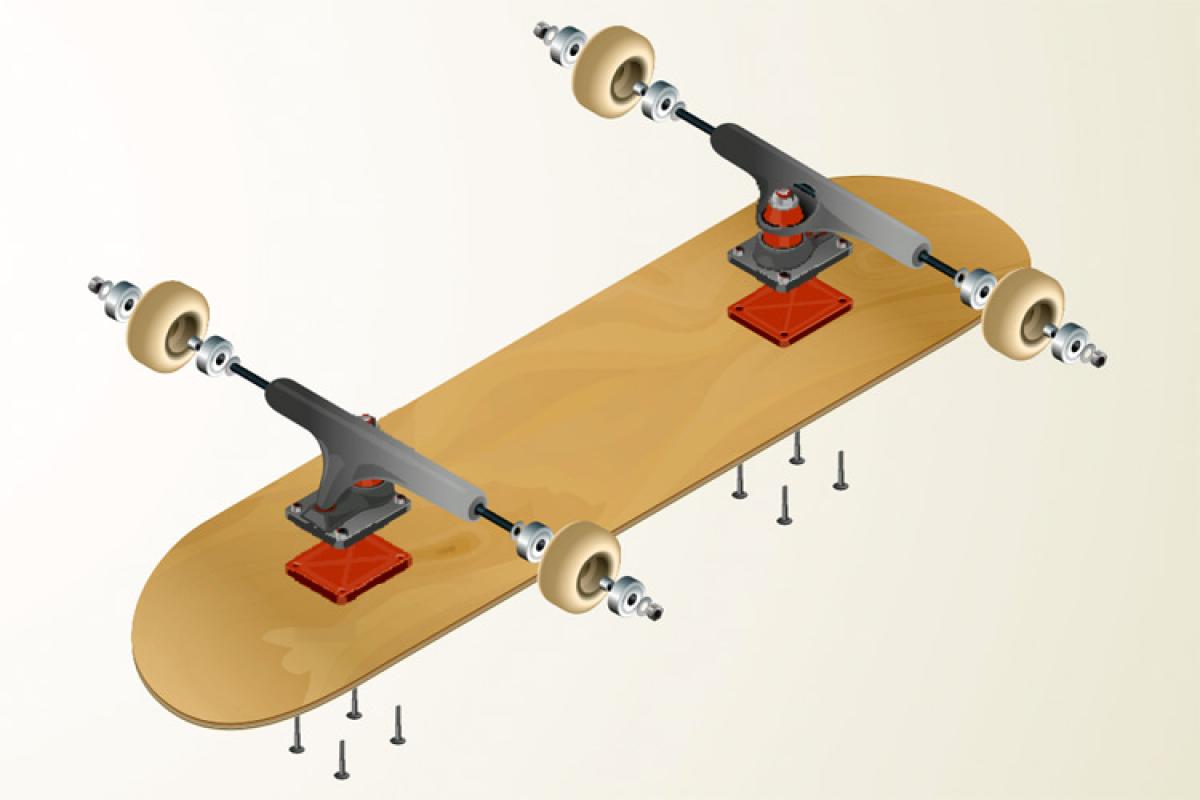 The anatomy of a skateboard
