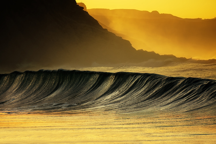 Dawn patrol: any surfer will recognize the distinctive floral scent of the early spring mornings | Photo: Shutterstock