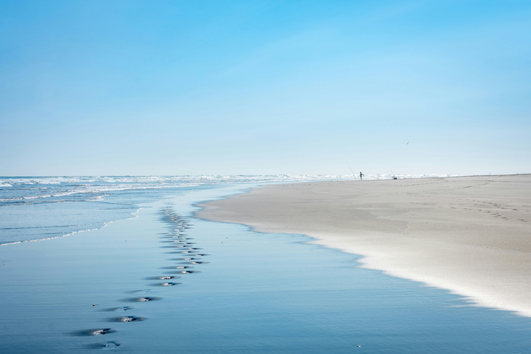 Beach: the ultimate frontier between land and sea | Photo: Goldberg/Creative Commons