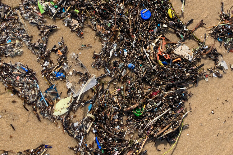 Microplastics are taking over Blue Flag beaches
