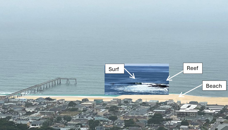 Rendering of the Reef + Sand concept showing the key elements: a partially submerged reef that dissipates incident waves and results in a wider beach and great surf. In addition, the reef is expected to support kelp, rocky subtidal, and intertidal habitat