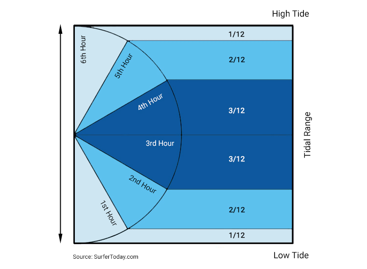 Rule of Twelfths: in the third and fourth hours of the tidal range, the upward and downward water movements are more intense | Illustration: SurferToday.com