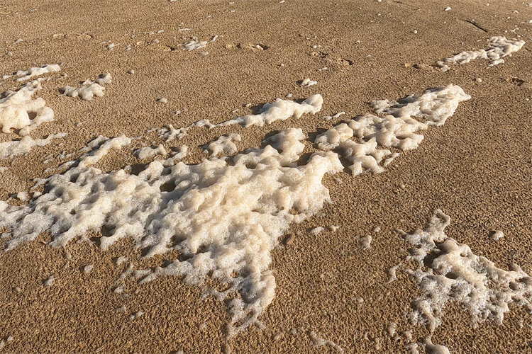 What Exactly Is Sea Foam?