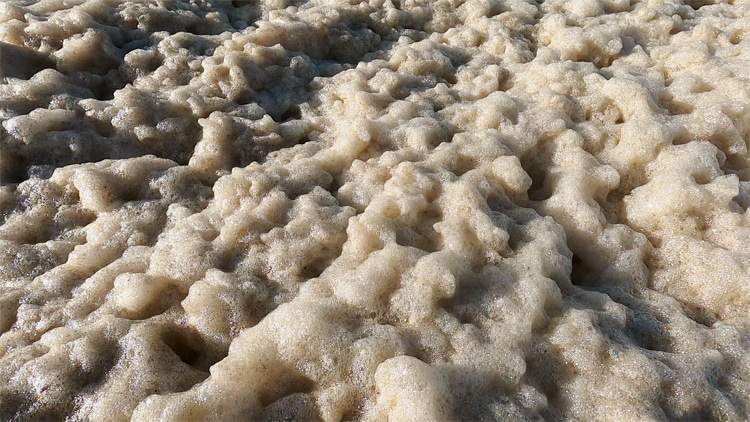 What is sea foam?