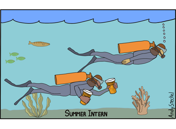 Summer Intern | Cartoon: Andy Steckel