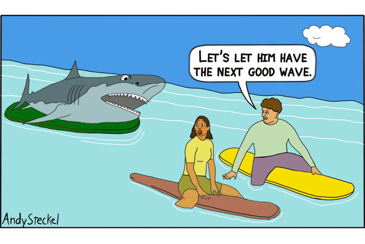 Surfing Shark | Cartoon: Andy Steckel